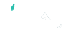 Pets Insiders