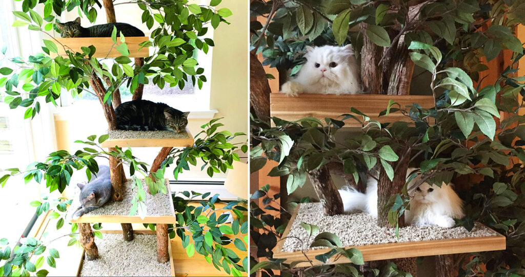 What You Need To Know Before You Build A Cat Tree