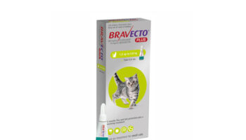 Top 10 Benefits of Bravecto for Cats in Different Environments