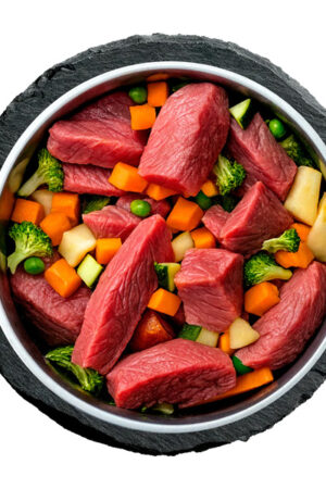 Switching Dog Food Safely A Step by Step Transition Plan