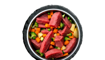 Switching Dog Food Safely A Step by Step Transition Plan