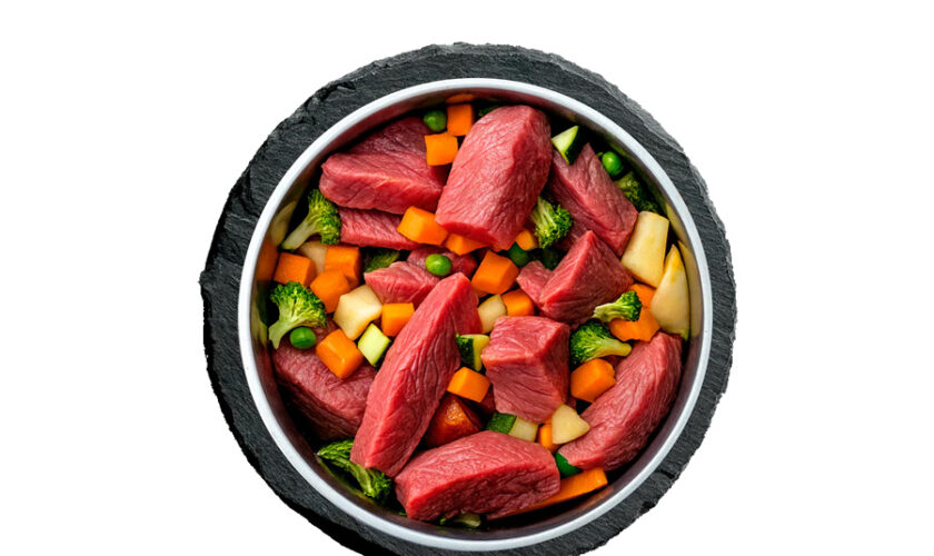 Switching Dog Food Safely A Step by Step Transition Plan