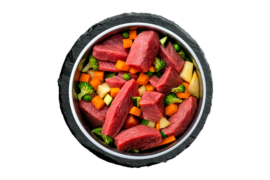 Switching Dog Food Safely A Step by Step Transition Plan