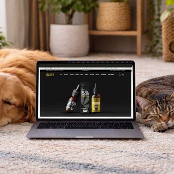 Why Quality and Safety Matter in Pet CBD Products