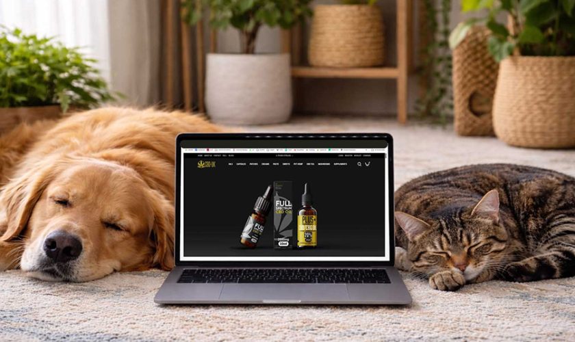 Why Quality and Safety Matter in Pet CBD Products