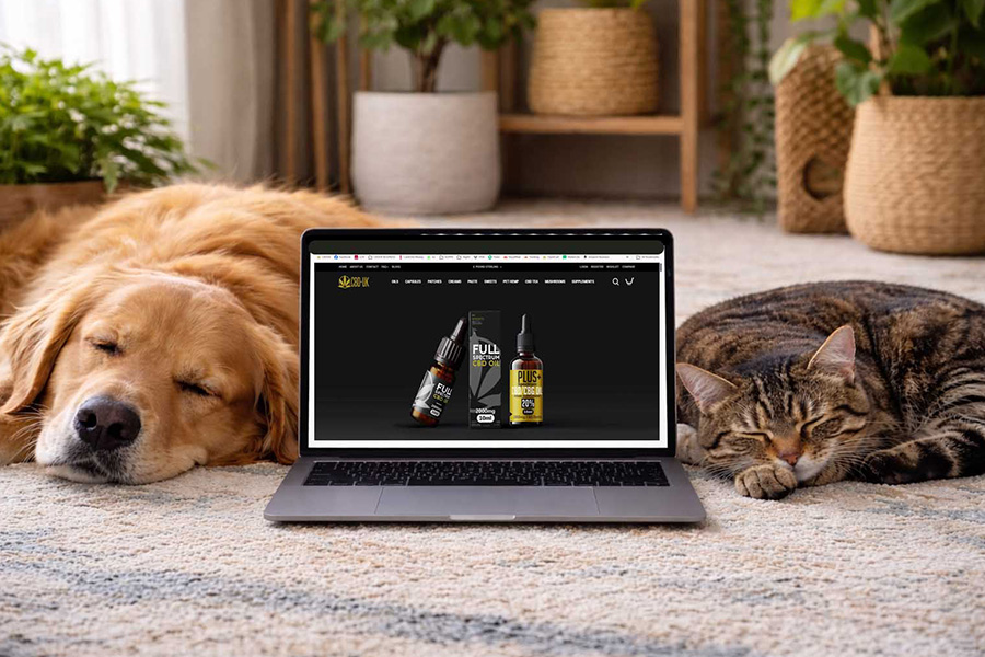 Why Quality and Safety Matter in Pet CBD Products
